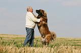 ADULTE ET CHIEN 293